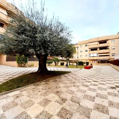 Jerez Jardin Y Patio 赫雷斯