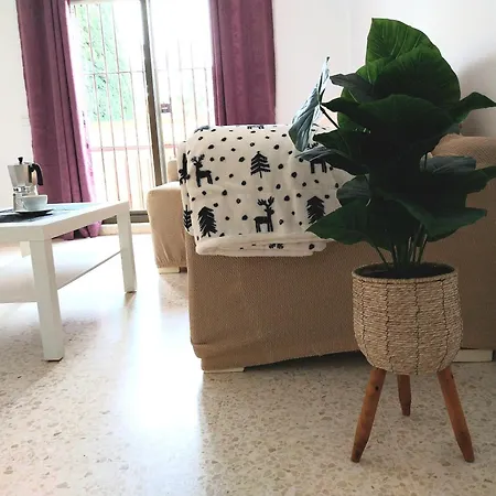 Jerez Jardin Y Patio Appartement *